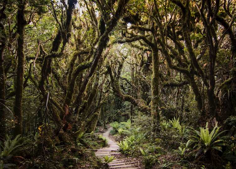 New Plymouth and Taranaki