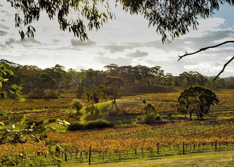 Clare Valley, South Australia