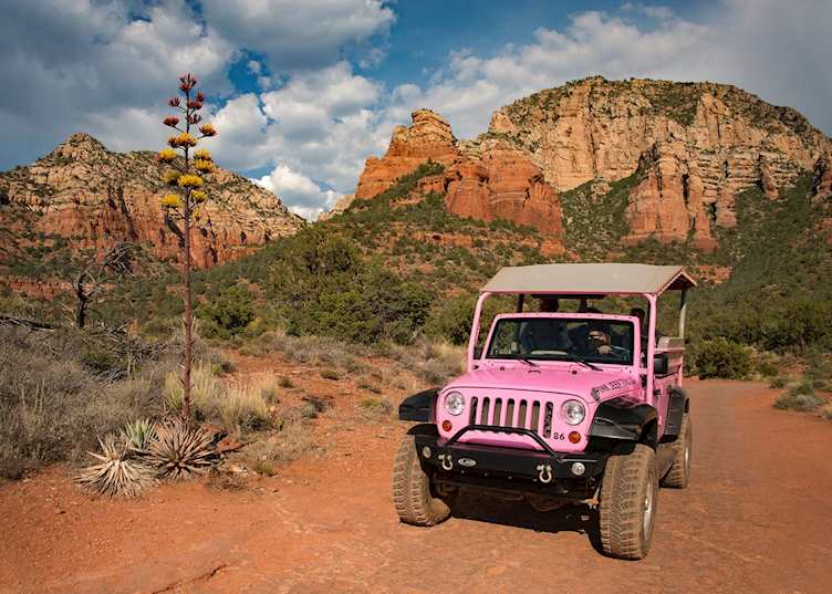 Pink Jeep Coyote Canyons
