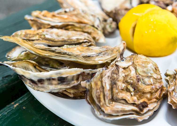 Freshly shucked oysters, France