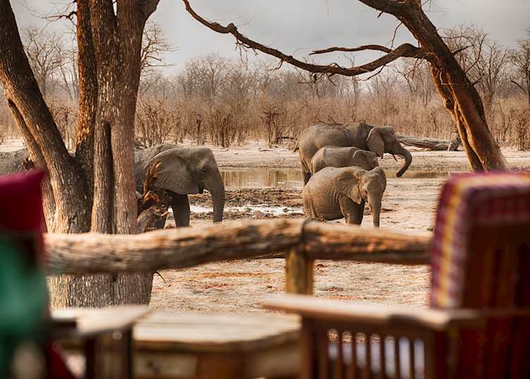 Elephant Pan, Khwai Concession