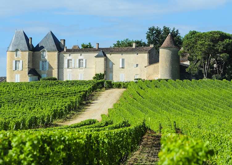 Chateau and its vineyard, Saint-Émilion