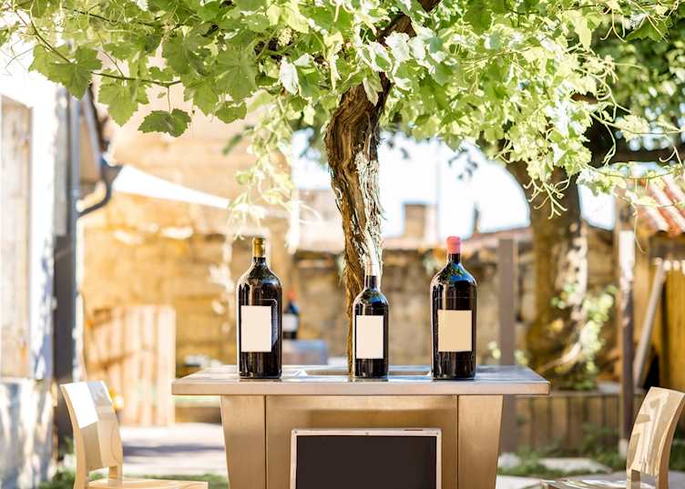 Selection of regional wine, Saint-Émilion