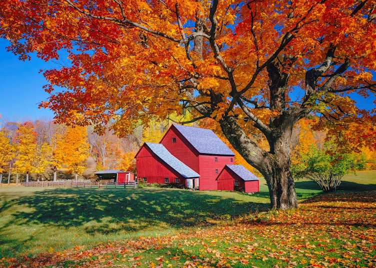 Vermont autumn with rustic barn