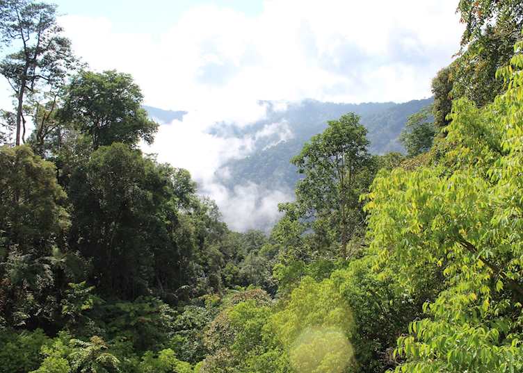 Fraser's Hill