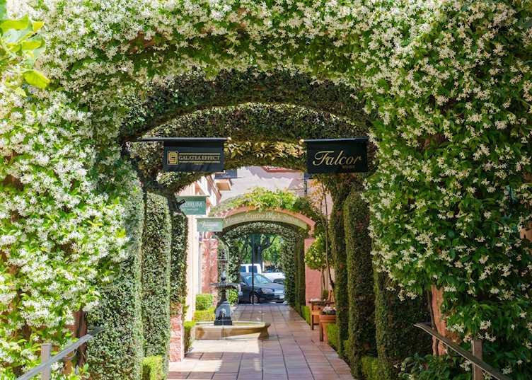 Sonoma