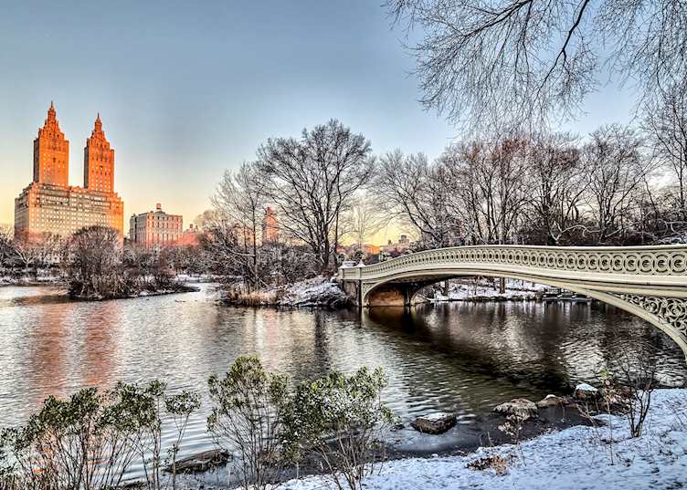 Winter in Central Park
