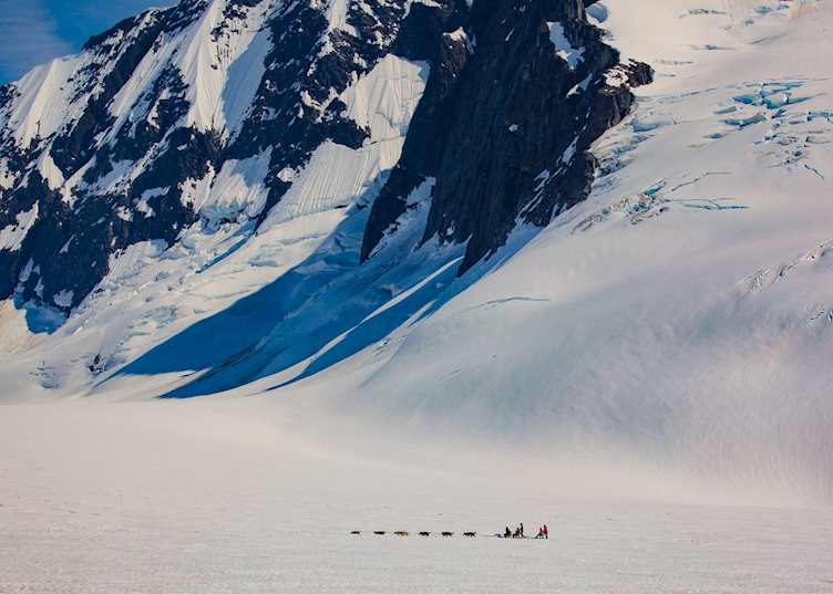Dog sledding, Alaska