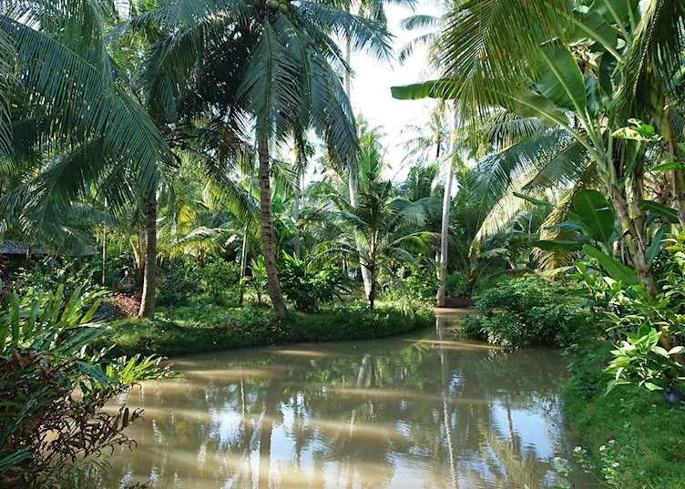 Mekong Home, Ben Tre