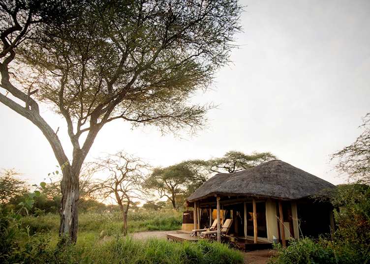 Oliver's Camp, Tarangire National Park
