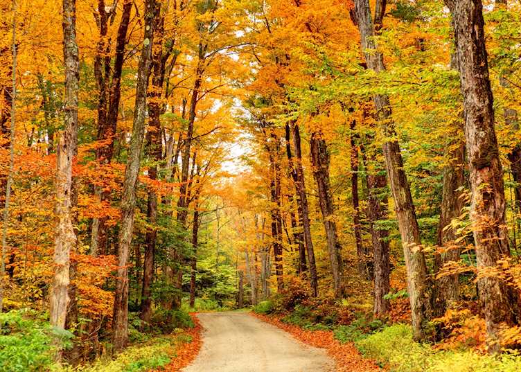 Driving through the Berkshires