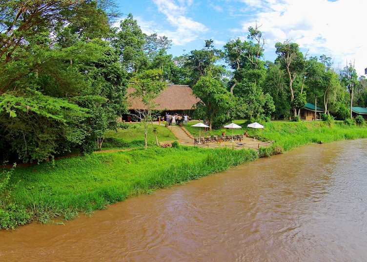 Ishasha Wilderness Camp, Ishasha