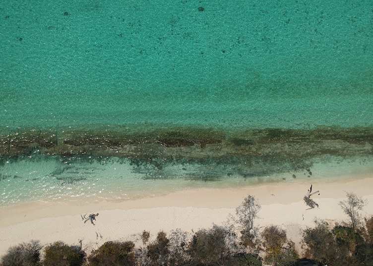 Heron Island
