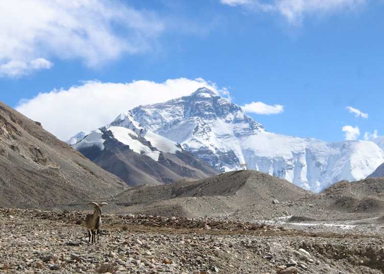 Everest's North Face