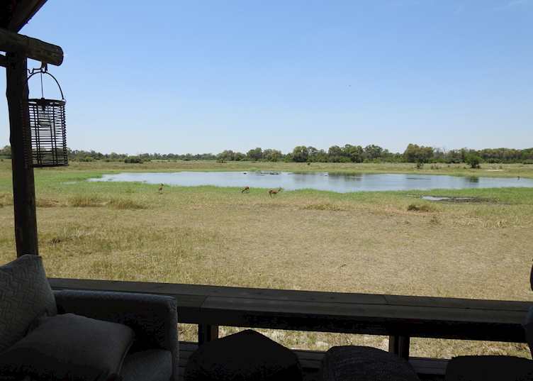 Sable Alley, Khwai Concession, Okavango Delta