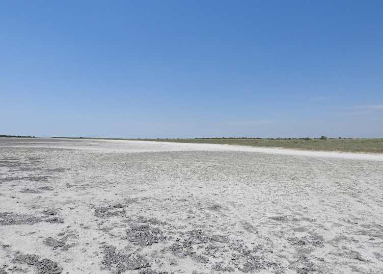 Kudiakam Pan, Nxai Pan National Park