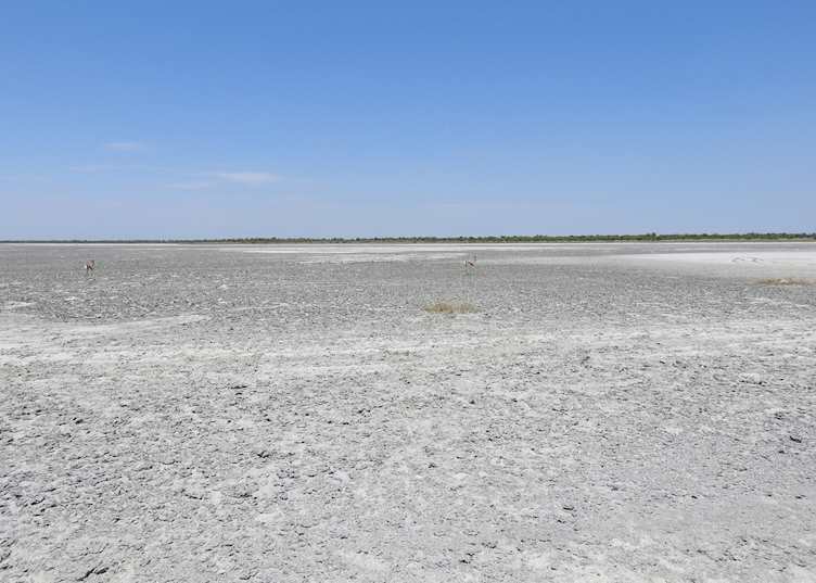 Kudiakam Pan, Nxai Pan National Park