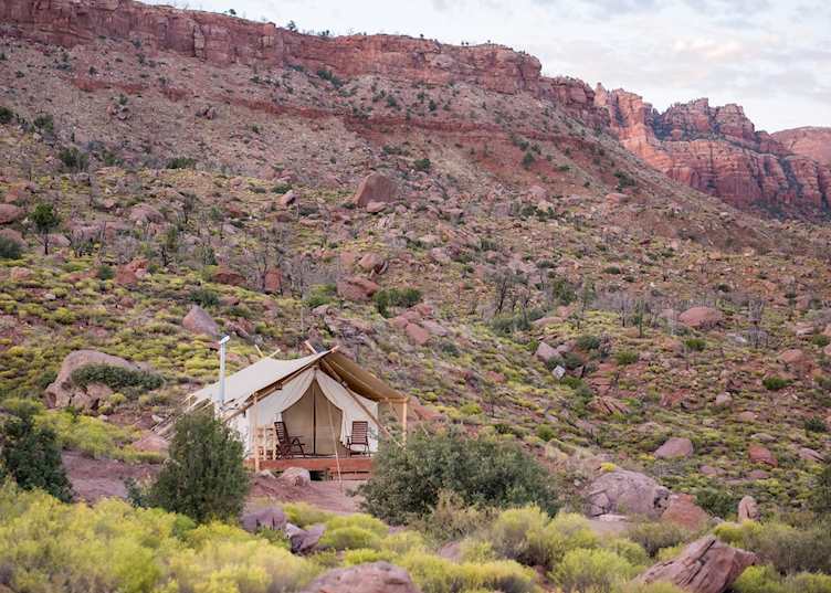 Under Canvas Zion 