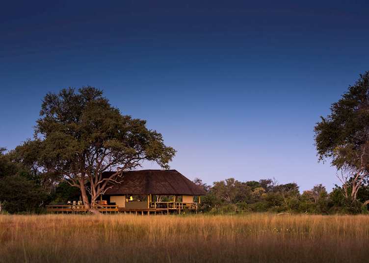 Little Sable, Khwai Private Reserve