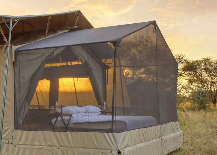 Stargazing at Olakira Camp