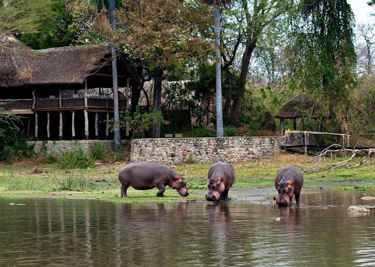 Mvuu Lodge, Liwonde National Park