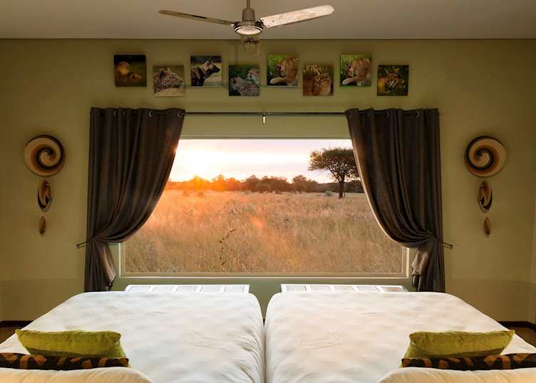 Okonjima Plains Camp, Central Highlands