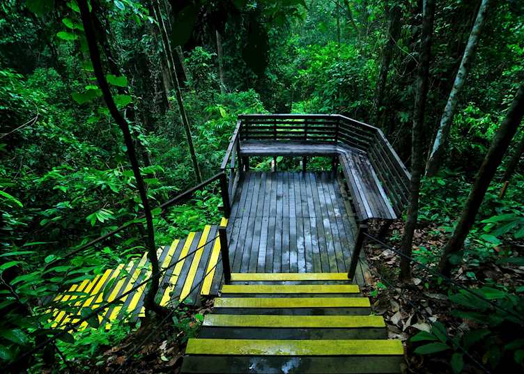 Boardwalk at My Nature Resort