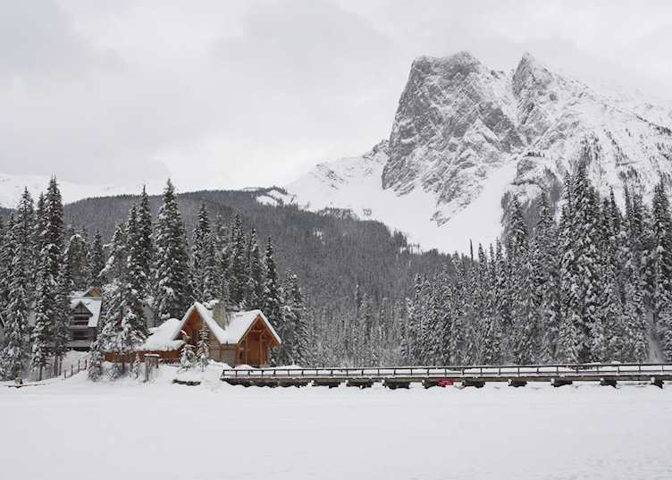 Winter at Emerald Lake Lodge, Field