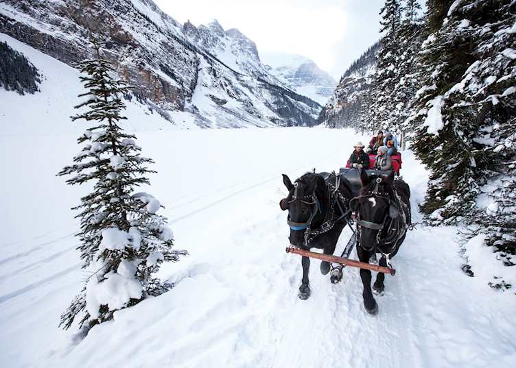 Sleigh ride in Banff National Park