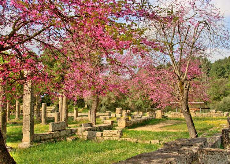 Ruins at Ancient Olympia, Greece