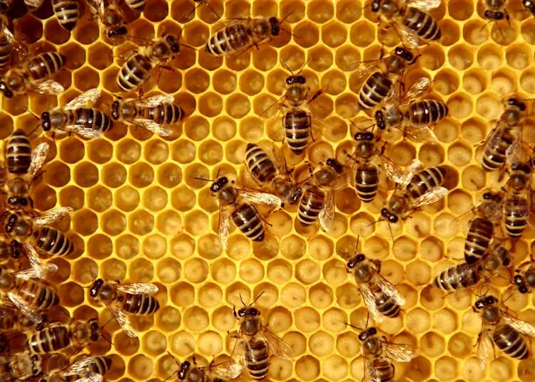 Beehive, Greece