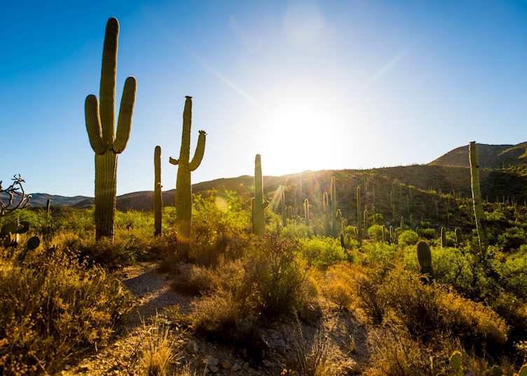 Scenery at Tanque Verde Ranch
