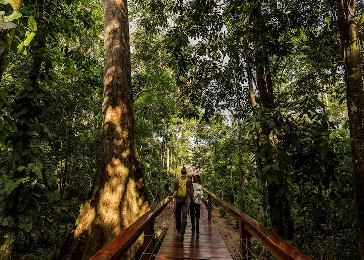 Walkways at Tambopata Research Centre