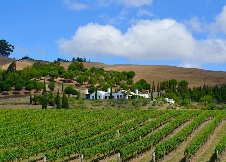 Hawke's Bay winery