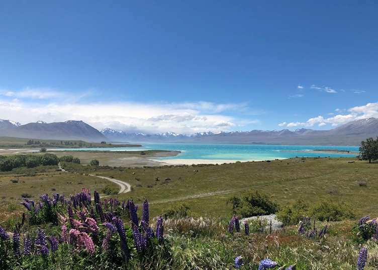 The road to Lake Tekapo