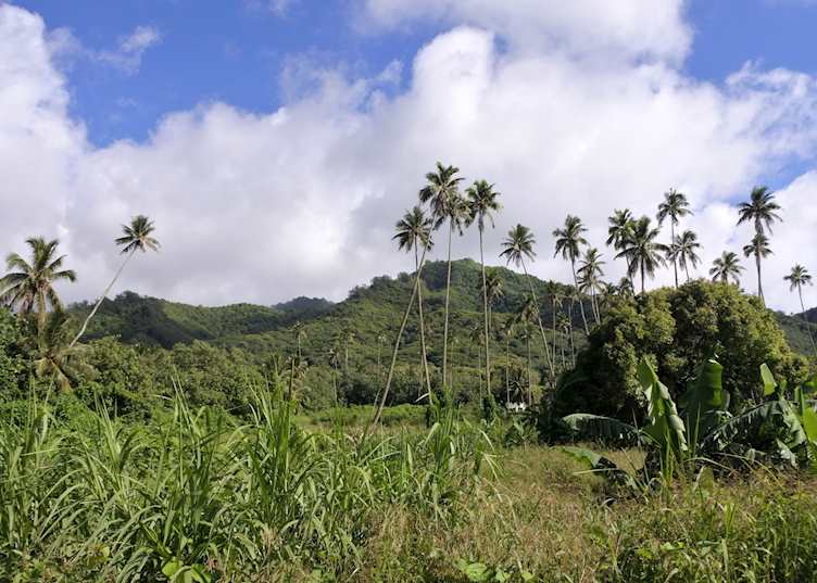 Mountains of Rarotonga