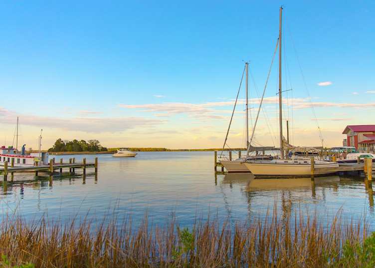 Marina in St. Michaels