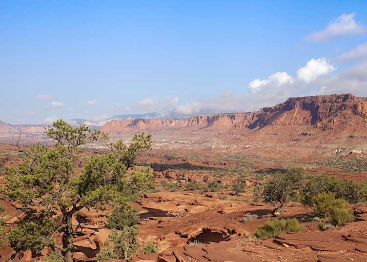 Capitol Reef National Park near Torrey