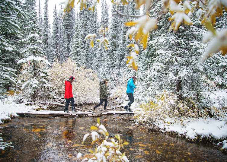 Snowshoeing through the Rocky Mountains