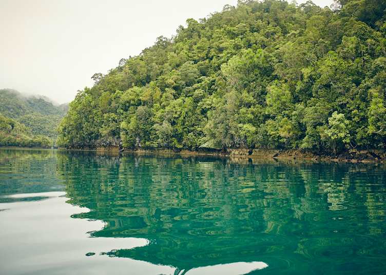 Mangroves close to Nay Palad