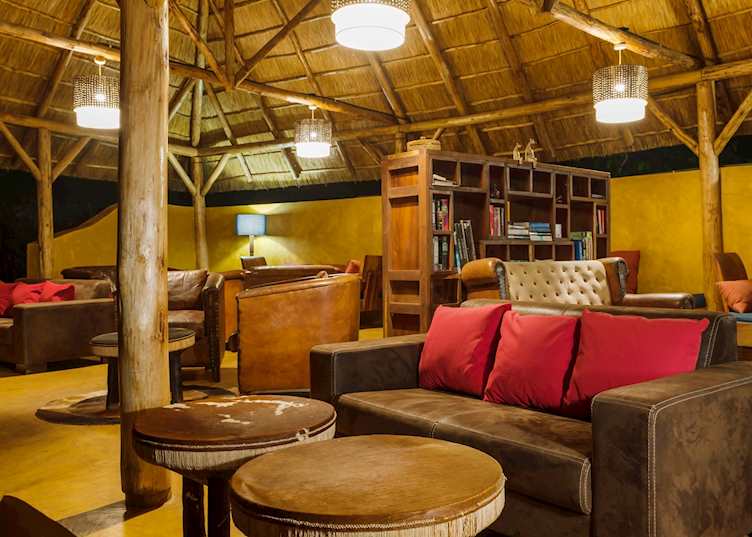 Lounge at Primate Lodge 