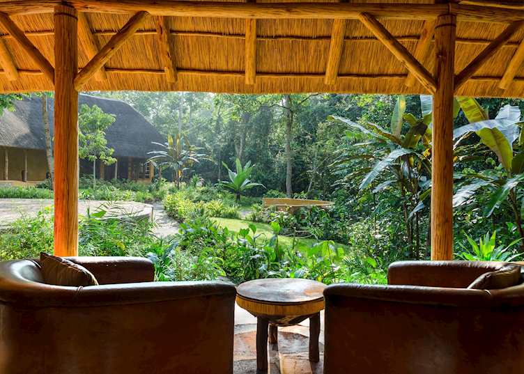 View from lounge at Primate Lodge 