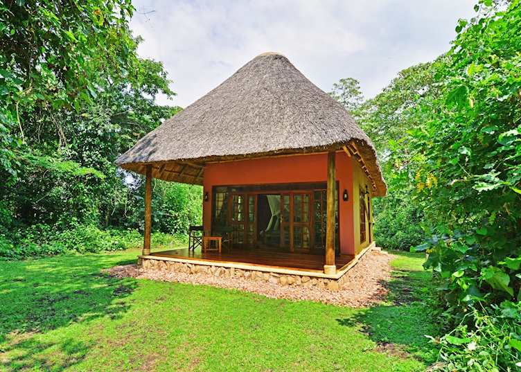 Cottage at Primate Lodge