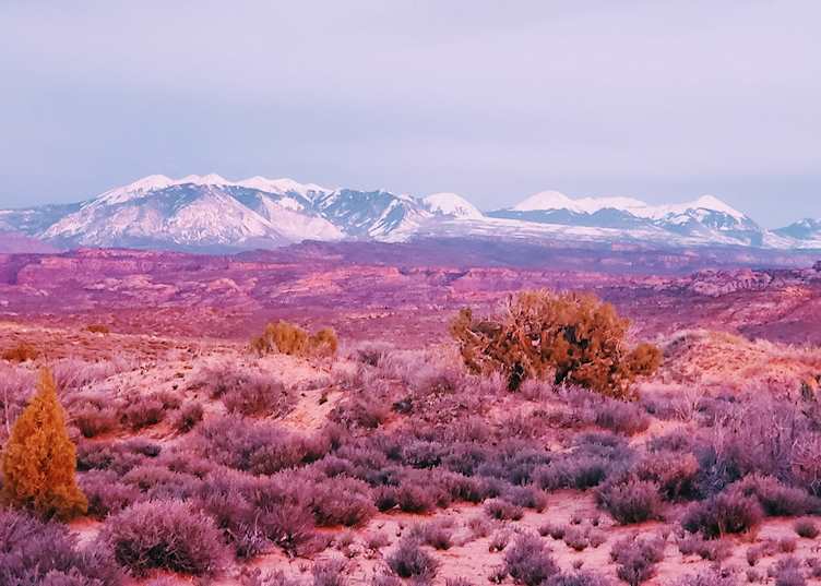 view from arches at twilight