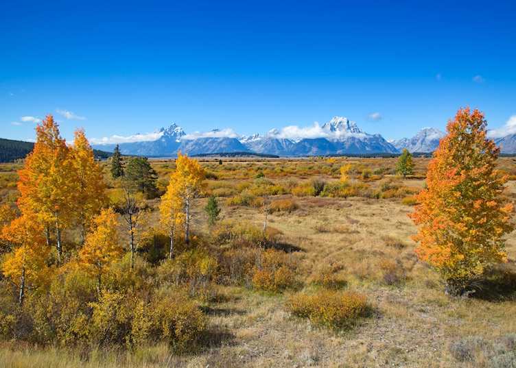 Grand Teton National Park in the fall
