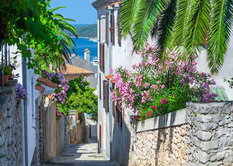 Flowered side streets, Dalmatian Coast