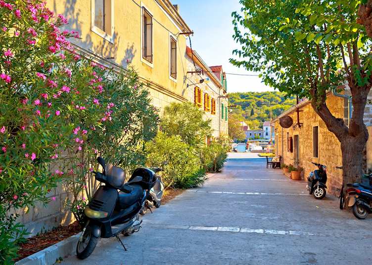Flower lined streets, Zlarin