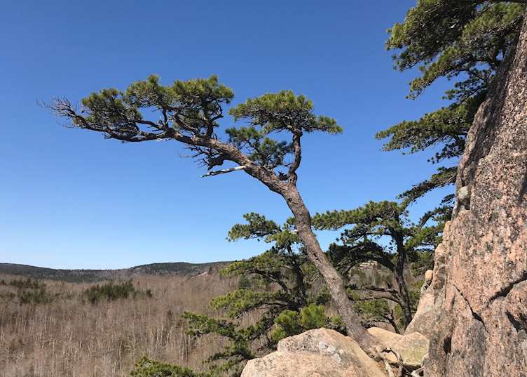 The Beehive Trail, Acadia National Park