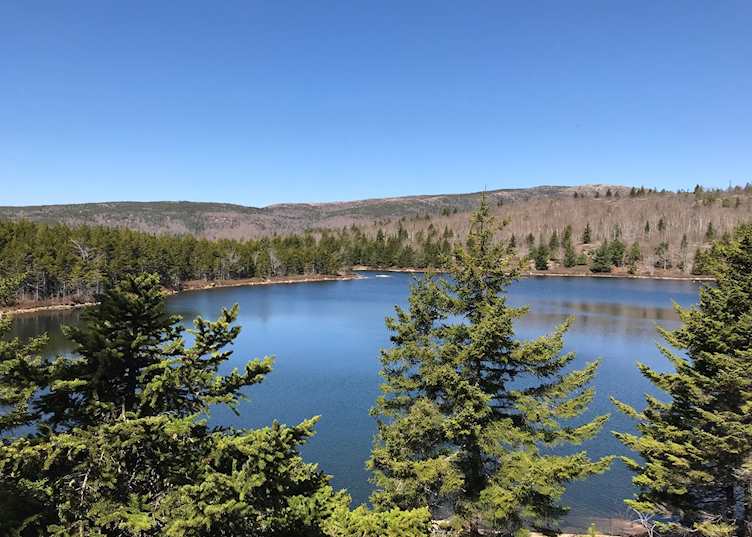 The Bowl Trail, Acadia National Park