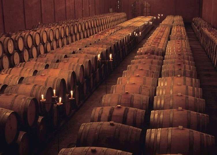 The Barrel Room at a Chilean Winery